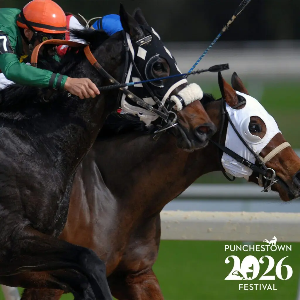 Image of 2 horses and their jockeys racing with the Punchestown Festival 2026 logo on the image.