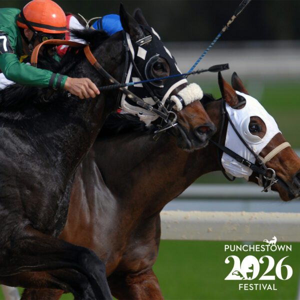 Image of 2 horses and their jockeys racing with the Punchestown Festival 2026 logo on the image.